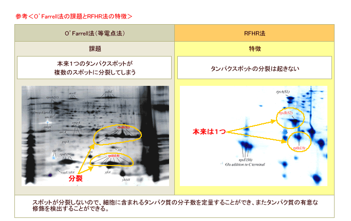 参考＜O’Farrell法の課題とRFHR法の特長＞