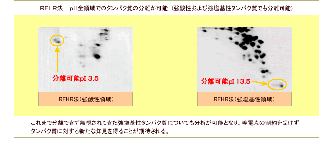 参考＜O’Farrell法の課題とRFHR法の特長＞...ＲＦＨＲ法 - ｐＨ全領域でのタンパク質の分離が可能　(強酸性および強塩基性タンパク質でも分離可能)