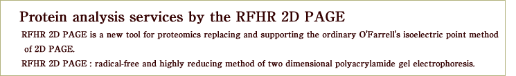 Protein analysis services by the RFHR 2D PAGE
