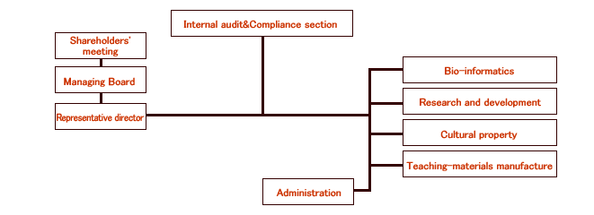 company organization chart;