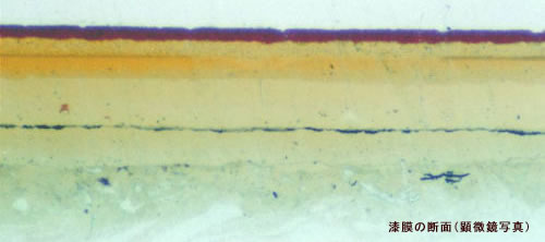 漆膜の断面（顕微鏡写真）