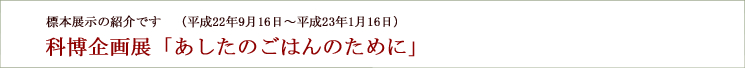 2010年作のイネが保存処理を終え無事に展示されています。