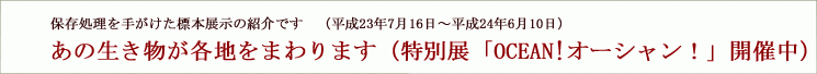 保存処理を手がけた標本展示のご案内です。