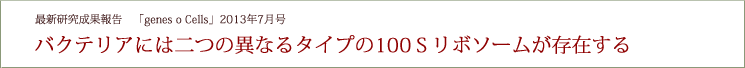 研究成果「genes to Cells」2013年7月号掲載