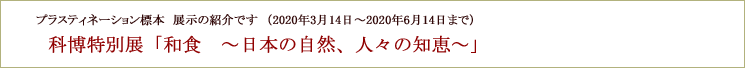 古来より食されてきた魚介類のプラスティネーションが展示されています。