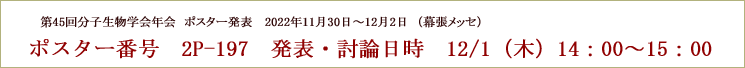 第45回分子生物学会年会　ポスター発表