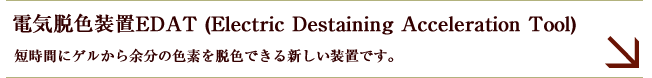 電気脱色装置EDAT (Electric Destaining Acceleration Tool)　詳細を見る