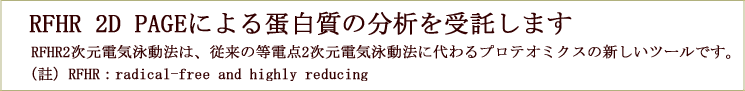 RFHR 2D PAGE による蛋白質の分析受託について