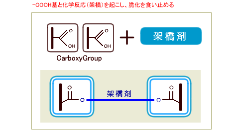 -COOH基と化学反応（架橋）を起こし、脆化を食い止める