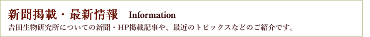 インフォメーション一覧