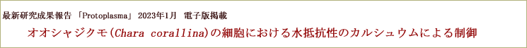 最新研究成果論文を「Protoplasma」2023年1月電子版掲載