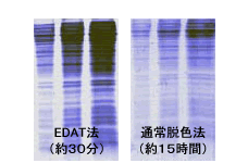 脱色の比較img