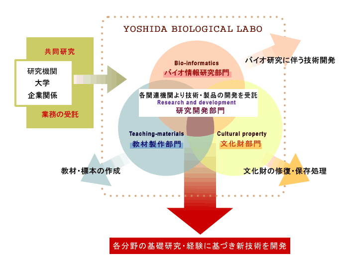 吉田生物研究所・各部門の位置関係